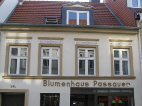 Moderne Ferienwohnung mitten in Greifswald